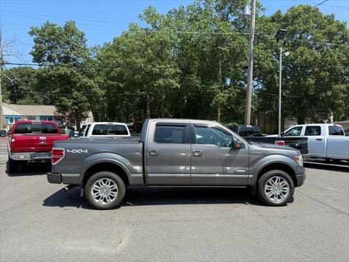 2013 Ford F-150 Platinum
