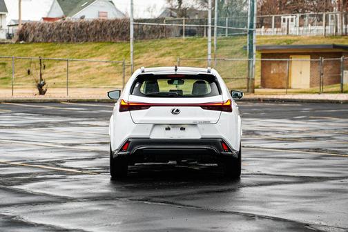 2024 Lexus UX 250h F Sport