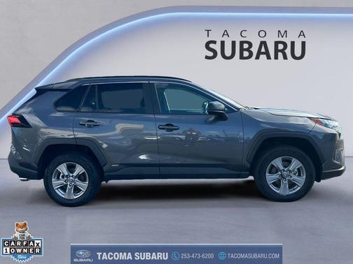 Magnetic Gray Metallic 2025 Toyota RAV4 Hybrid SE