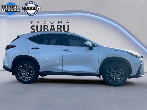 2024 Lexus NX 350 350 Base
