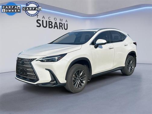 2024 Lexus NX 350 350 Base
