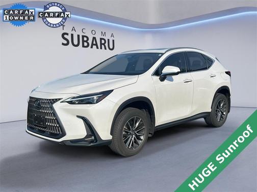 2024 Lexus NX 350 350 Base