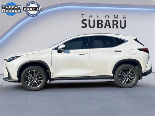 2024 Lexus NX 350 350 Base