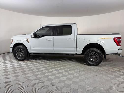 Gray 2023 Ford F-150 Tremor