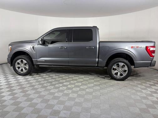 Gray Metallic 2021 Ford F-150 Platinum