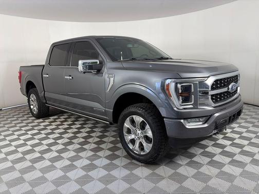 Gray Metallic 2021 Ford F-150 Platinum