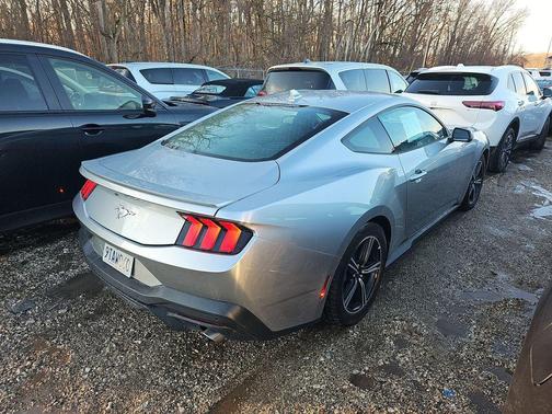 ICONIC SILVER METALLIC 2025 Ford Mustang EcoBoost Premium