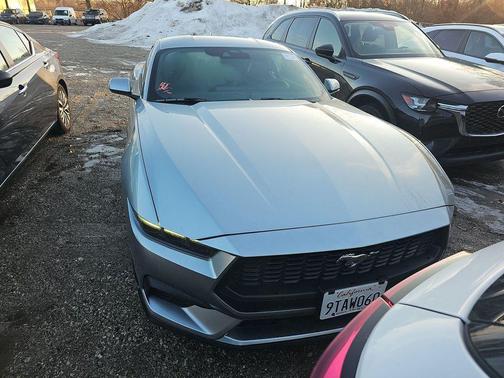 ICONIC SILVER METALLIC 2025 Ford Mustang EcoBoost Premium