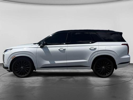 Hyper White 2024 Hyundai PALISADE Calligraphy Night Edition