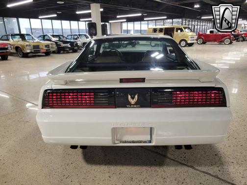 1989 Pontiac Firebird Trans Am