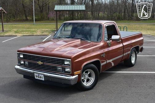 1983 Chevrolet Pickup Truck Base
