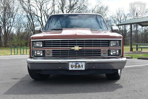1983 Chevrolet Pickup Truck Base