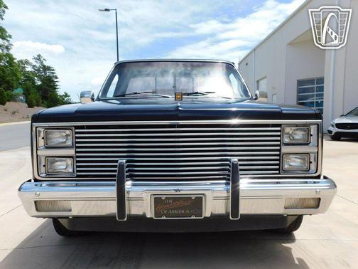 1981 Chevrolet Pickup Truck Base
