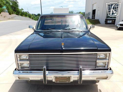 1981 Chevrolet Pickup Truck Base