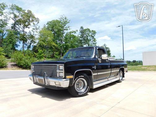 1981 Chevrolet Pickup Truck Base