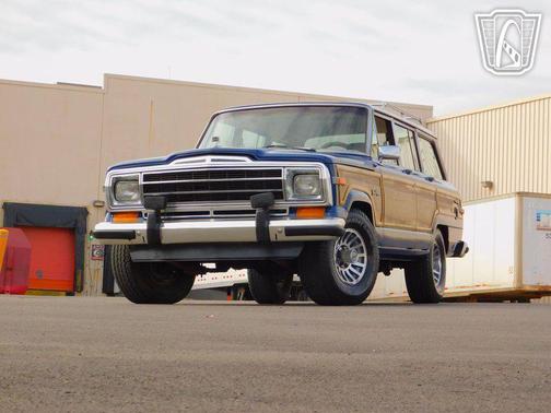 1989 Jeep Grand Wagoneer 