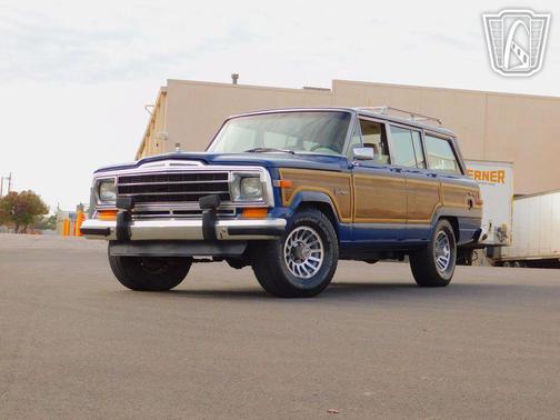 1989 Jeep Grand Wagoneer 