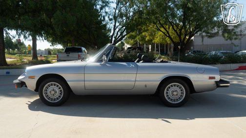 1976 Alfa Romeo Spider 