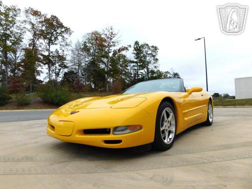 Millennium Yellow 2000 Chevrolet Corvette Base