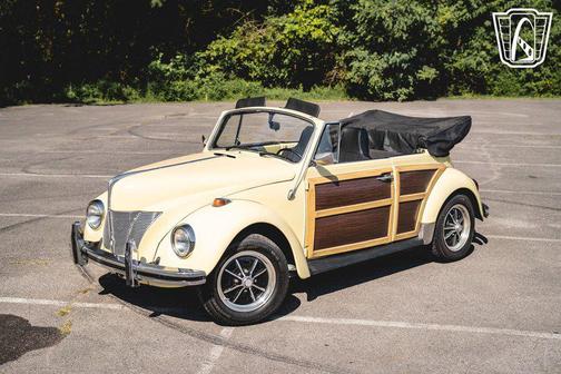 1969 Volkswagen Beetle (Pre-1980) Base