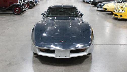 Blue/Silver 1981 Chevrolet Corvette Coupe