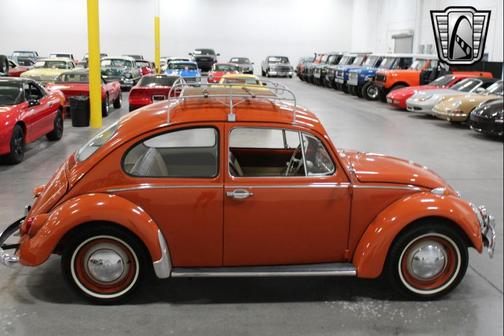 1965 Volkswagen Beetle (Pre-1980) Base