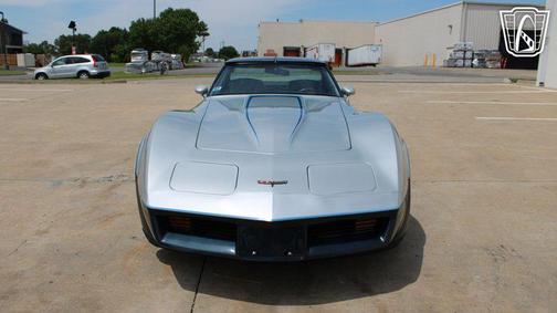 SILVER 1981 Chevrolet Corvette Coupe