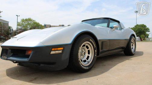 SILVER 1981 Chevrolet Corvette Coupe