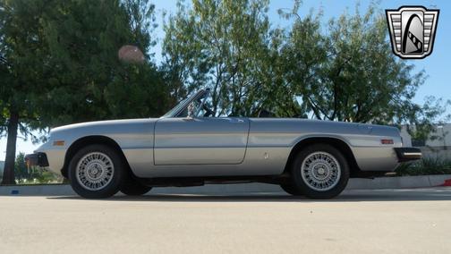 1976 Alfa Romeo Spider 