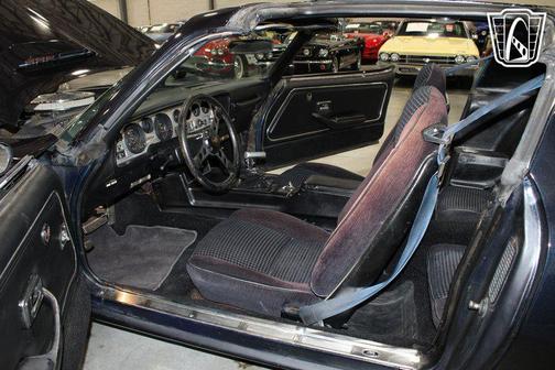 1981 Pontiac Firebird Trans Am