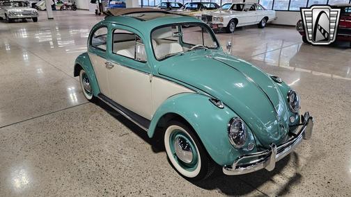 1962 Volkswagen Beetle (Pre-1980) Base