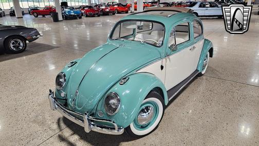 1962 Volkswagen Beetle (Pre-1980) Base
