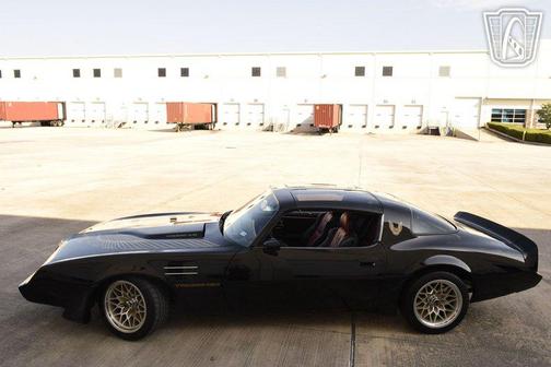1981 Pontiac Firebird Trans Am