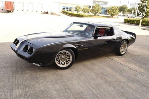 1981 Pontiac Firebird Trans Am