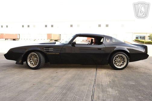 1981 Pontiac Firebird Trans Am