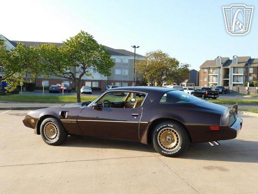 1981 Pontiac Firebird 
