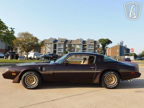 1981 Pontiac Firebird 