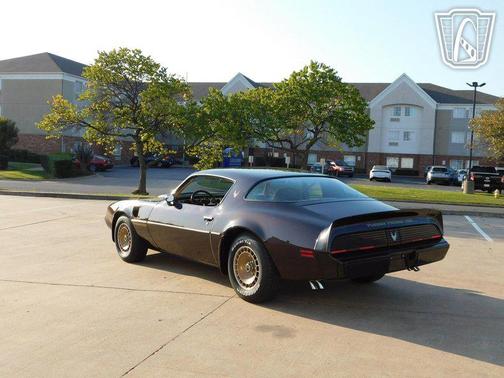 1981 Pontiac Firebird 