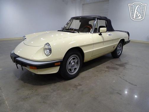 1984 Alfa Romeo Spider Convertible