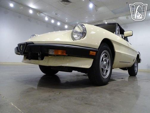 1984 Alfa Romeo Spider Convertible