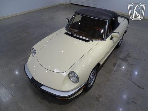 1984 Alfa Romeo Spider Convertible