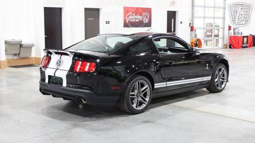 2010 Ford Shelby GT500 Base