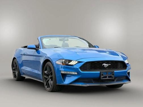 2019 Ford Mustang EcoBoost