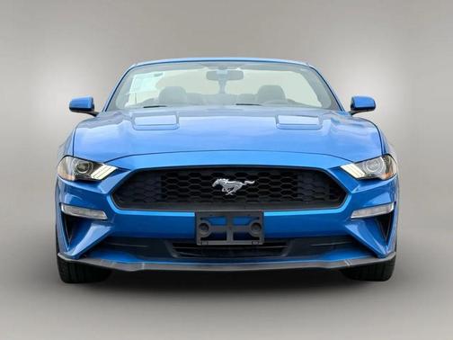 2019 Ford Mustang EcoBoost