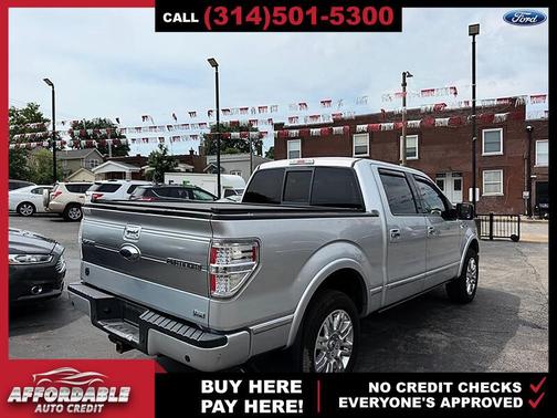 Ingot Silver 2010 Ford F-150 Platinum