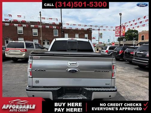 Ingot Silver 2010 Ford F-150 Platinum