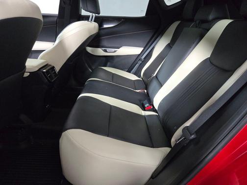 Redline 2023 Lexus NX 250 Base