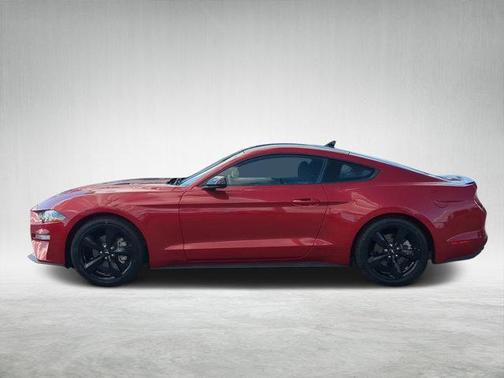 2023 Ford Mustang EcoBoost
