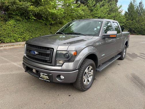 Sterling Gray Metallic 2013 Ford F-150 FX4