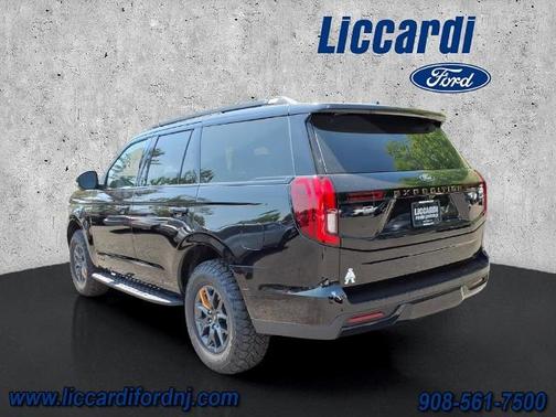 AGATE BLACK METALLIC 2025 Ford Expedition TREMOR
